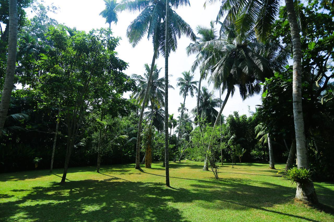 Old Parkland Hostel Galle Bagian luar foto