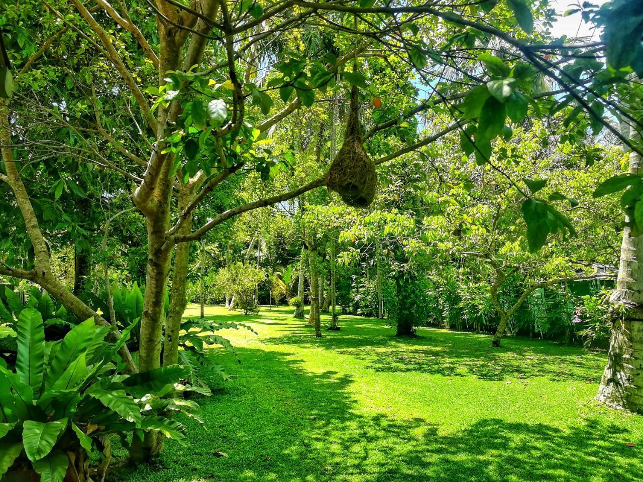 Old Parkland Hostel Galle Bagian luar foto