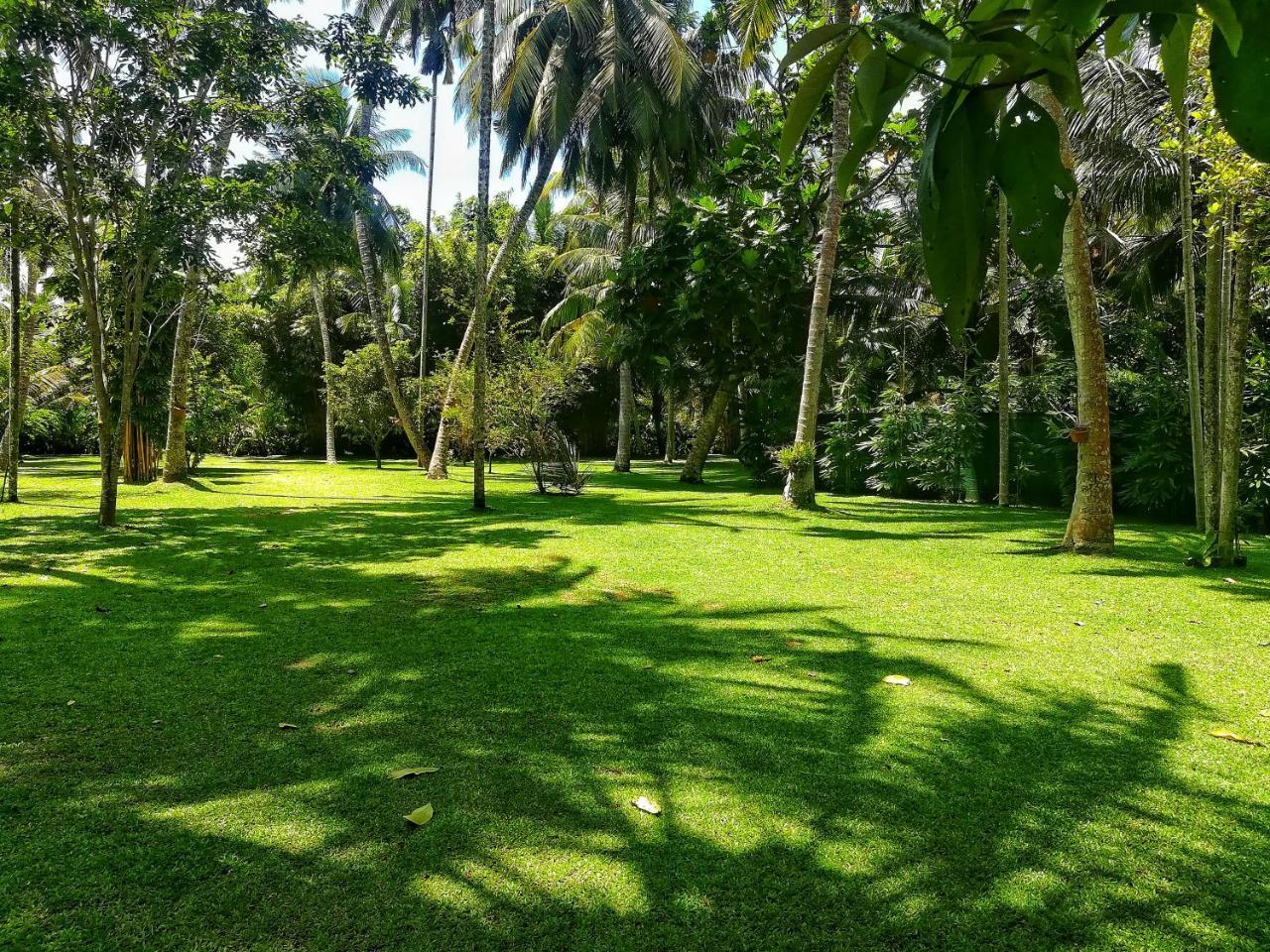 Old Parkland Hostel Galle Bagian luar foto